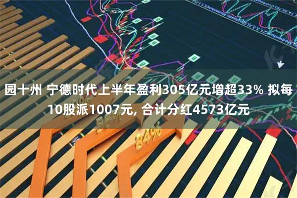 园十州 宁德时代上半年盈利305亿元增超33% 拟每10股派1007元, 合计分红4573亿元