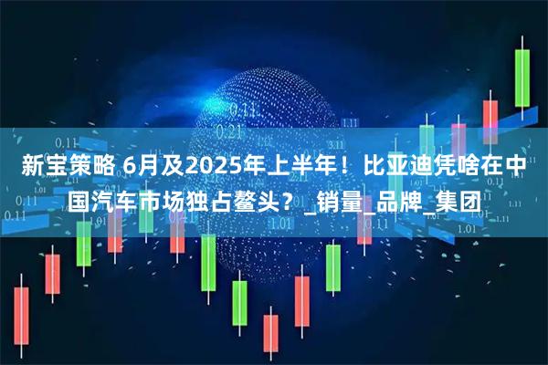 新宝策略 6月及2025年上半年！比亚迪凭啥在中国汽车市场独占鳌头？_销量_品牌_集团